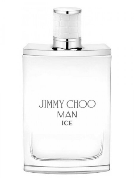 Jimmy Choo Man Ice EDT 50 ml Erkek Parfümü kullananlar yorumlar